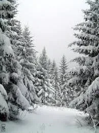 Illustration de l'article « Vacances de Noël »